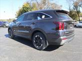 Thumbnail of 2025 Panthera Metal Kia Sorento