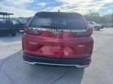 Thumbnail of 2022 Radiant Red Metallic Honda CR-V