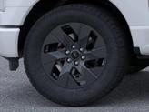 Thumbnail of 2025 Star White Ford F-150 Lightning