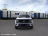Thumbnail of 2025 Iconic Silver Ford F-150