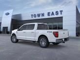 Thumbnail of 2025 Oxford White Ford F-150