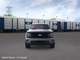 Thumbnail of 2025 Carbonized Gray Ford F-150