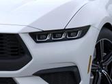 Thumbnail of 2025 Oxford White Ford Mustang