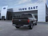 Thumbnail of 2025 Agate Black Metallic Ford F-150