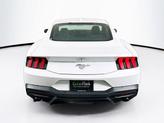 Thumbnail of 2024 Oxford White Ford Mustang