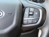 Thumbnail of 2025 Gray Ford Ranger