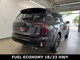Thumbnail of 2025 Panthera Metal Kia Telluride