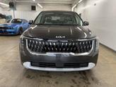 Thumbnail of 2026 Panthera Metal Kia Carnival