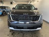 Thumbnail of 2025 Panthera Metal Kia Sorento