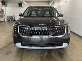 Thumbnail of 2026 Panthera Metal Kia Carnival Hybrid