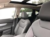 Thumbnail of 2025 Scarlet Ember Tintcoat Nissan Murano