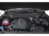 Thumbnail of 2025 Ebony Black Kia Sorento