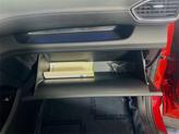 Thumbnail of 2023 Calypso Red Hyundai SANTA FE