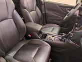 Thumbnail of 2022 Autumn Green Metallic Subaru Forester