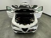 Thumbnail of 2019 Alfa White Alfa Romeo Stelvio