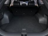 Thumbnail of 2026 Panthera Metal Matte Kia Sportage