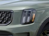 Thumbnail of 2025 Jungle Green Kia Telluride