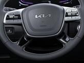 Thumbnail of 2025 Jungle Green Kia Telluride