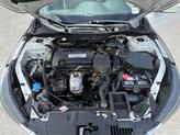 Thumbnail of 2014 White Orchid Pearl Honda Accord