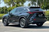 Thumbnail of 2025  Lexus NX 250