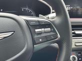 Thumbnail of 2024 Vik Black Genesis G70