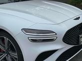 Thumbnail of 2024 Vik Black Genesis G70