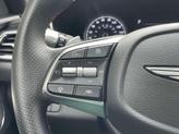 Thumbnail of 2024 Vik Black Genesis G70