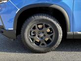 Thumbnail of 2025 Blue Honda Pilot