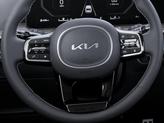 Thumbnail of 2025 Panthera Metal Kia Sorento