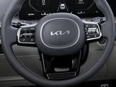 Thumbnail of 2025 Panthera Metal Kia Sorento