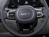 Thumbnail of 2025 Panthera Metal Kia Sorento