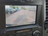 Thumbnail of 2019 Blue Ford F-150