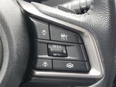 Thumbnail of 2023 Autumn Green Metallic Subaru Ascent