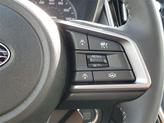 Thumbnail of 2025 Magnetite Gray Metallic Subaru Outback