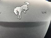 Thumbnail of 2024 Desert Sand Ford Bronco Sport