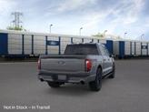 Thumbnail of 2025 Carbonized Gray Metallic Ford F-150