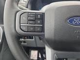 Thumbnail of 2025 Gray Ford F-150
