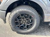 Thumbnail of 2025 Gray Metallic Ford F-150
