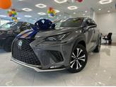 Photo of 2018 Nebula Gray Pearl Lexus NX 300