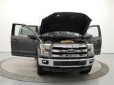 Thumbnail of 2016 Magnetic Ford F-150