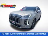 Photo of 2024 Typhoon Silver Hyundai PALISADE