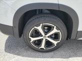 Thumbnail of 2025 Pure White Volkswagen Tiguan