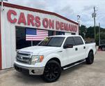 Photo of 2013 White Ford F-150