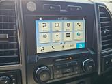 Thumbnail of 2019 Magnetic Metallic Ford F-150
