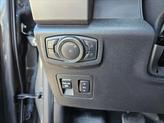 Thumbnail of 2019 Magnetic Metallic Ford F-150