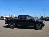 Thumbnail of 2022 Agate Black Metallic Ford F-150