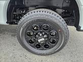 Thumbnail of 2025 Avalanche Ford F-350
