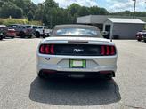 Thumbnail of 2018 INGOT SILVER METALLIC Ford Mustang