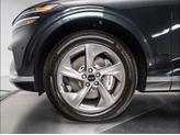 Thumbnail of 2026 Vik Black Genesis GV70