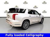 Thumbnail of 2025 Typhoon Silver Hyundai PALISADE